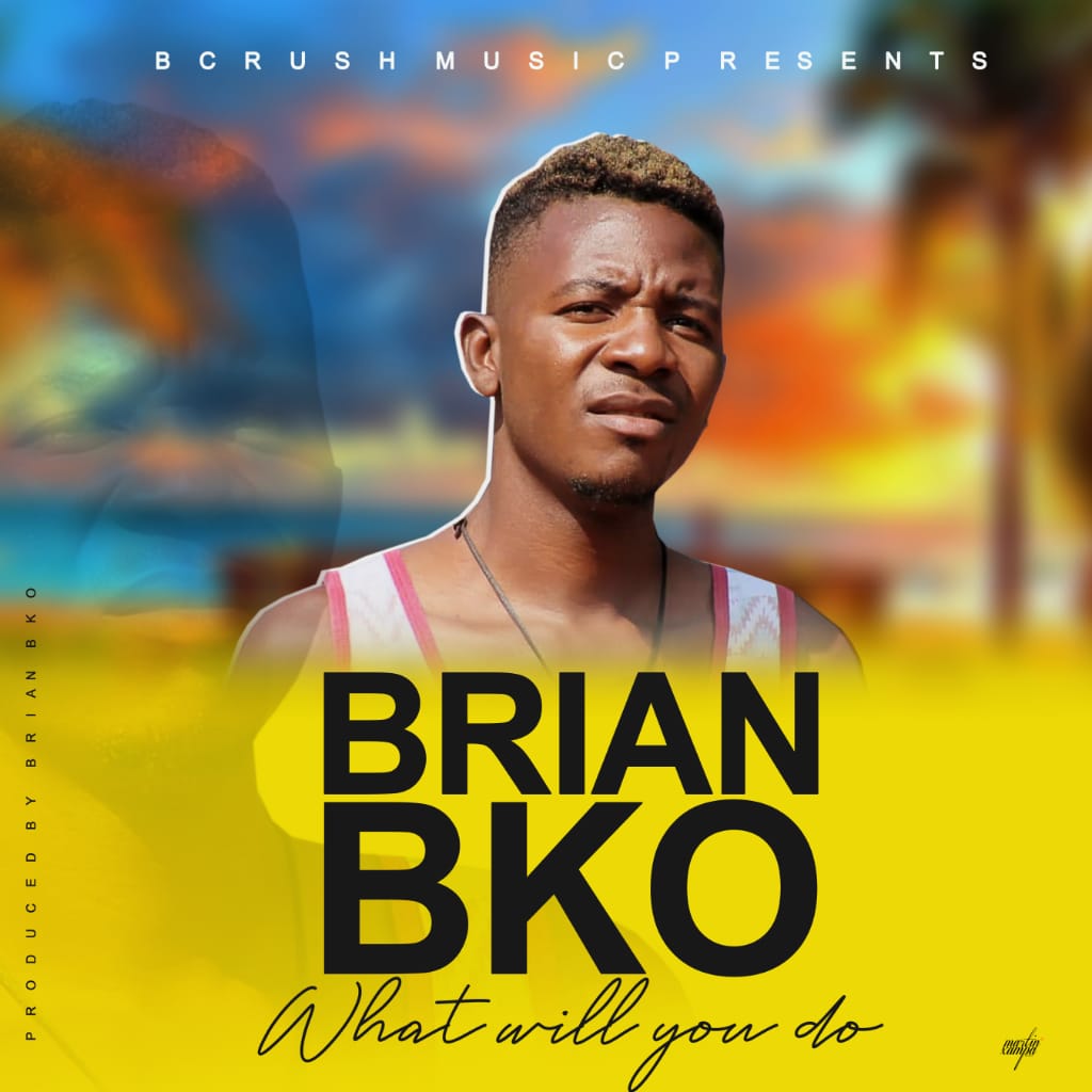 download mp3 brain bko what will you do audio download mp3 brain bko what will you do audio