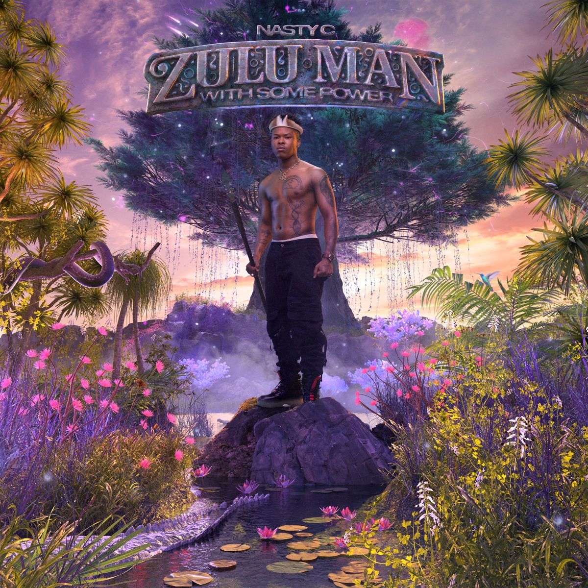 DOWNLOAD Nasty C – "Zulu Man With Some Power" Album