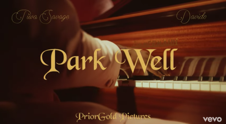 Tiwa Savage ft. Davido – “Park Well” Music Video